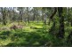 1803 Blue Springs Rd, Bungaba NSW 2852