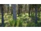 1803 Blue Springs Rd, Bungaba NSW 2852