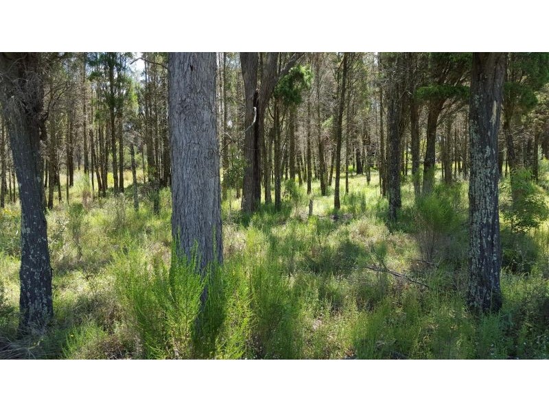 1803 Blue Springs Rd, Bungaba NSW 2852