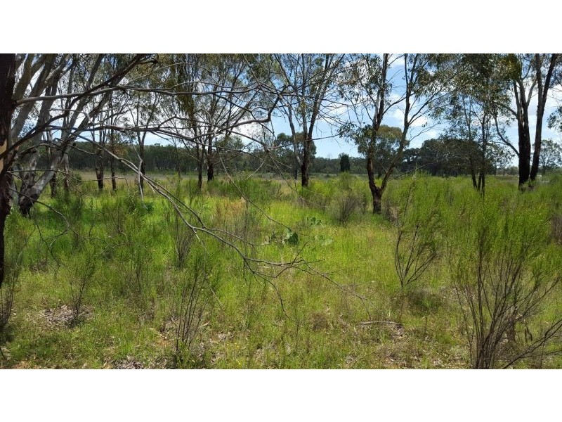 1803 Blue Springs Rd, Bungaba NSW 2852