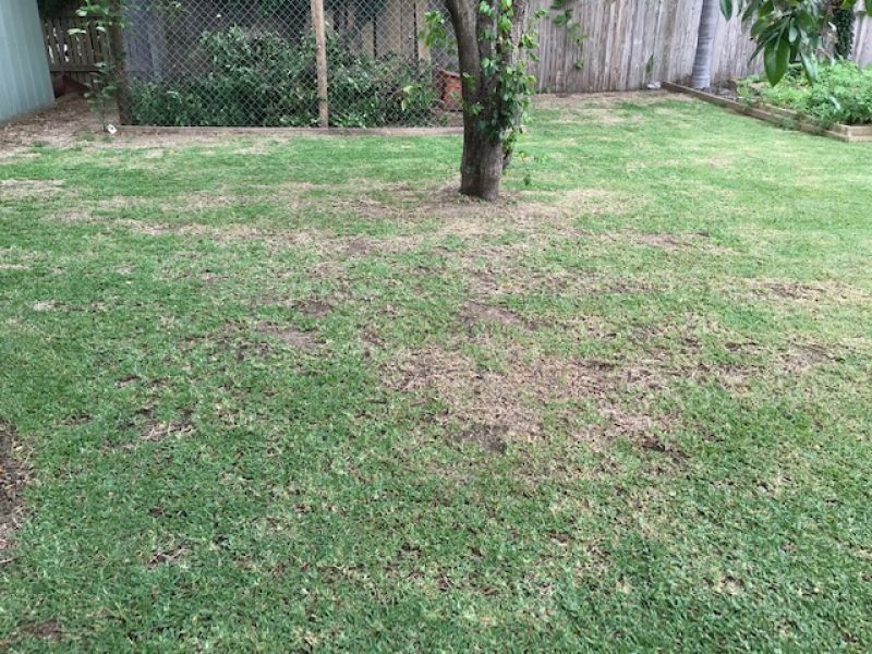 14 Cavanagh Drive, Blacks Beach QLD 4740