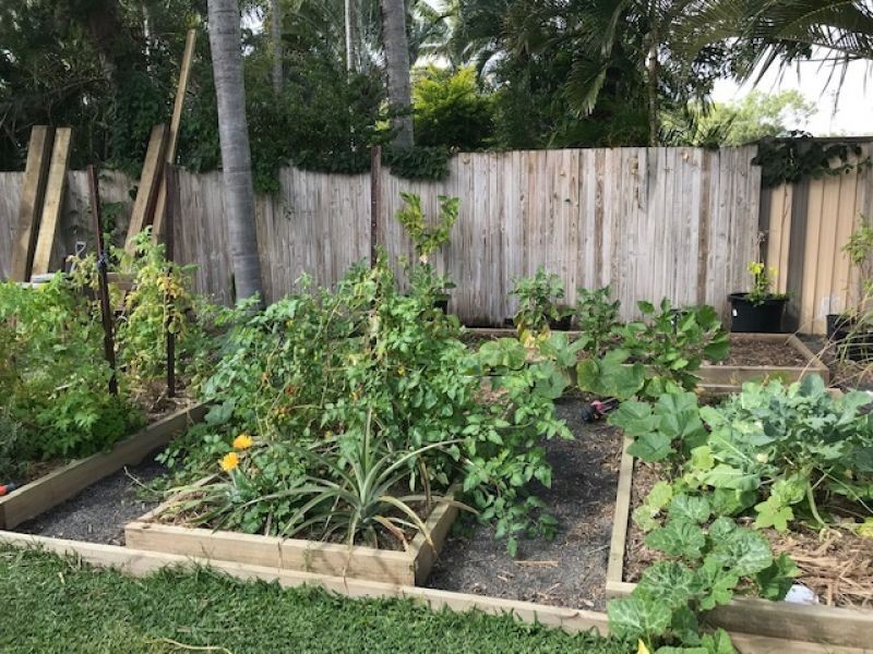 14 Cavanagh Drive, Blacks Beach QLD 4740