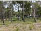 9534 Muir Highway, Rocky Gully WA 6397