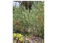 9534 Muir Highway, Rocky Gully WA 6397