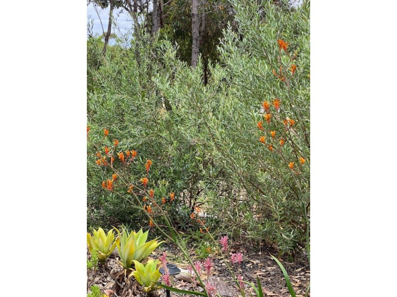 9534 Muir Highway, Rocky Gully WA 6397