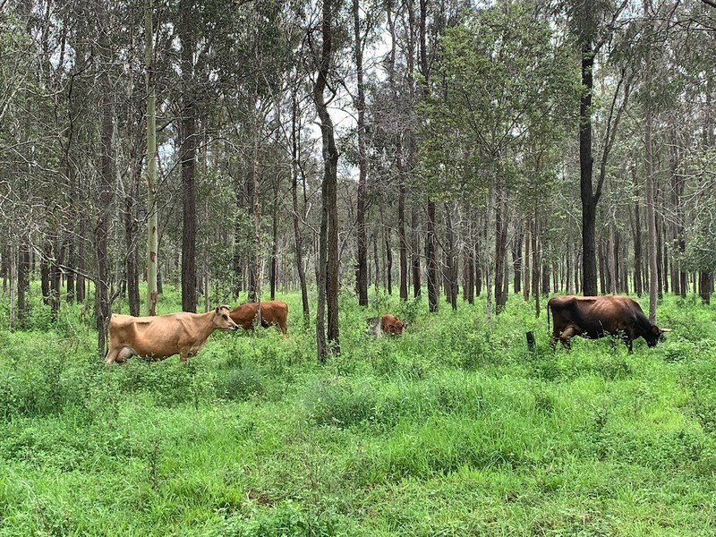 949 Rosewood Laidley Road, Calvert QLD 4340