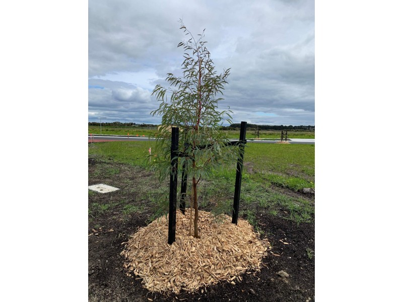 10 Flintoff Avenue, Lang Lang VIC 3984