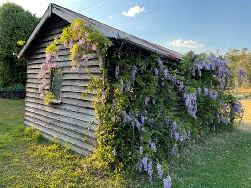 24 Colin St, Moore QLD 4306