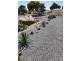 23 Stormbird Road, Elliston SA 5670