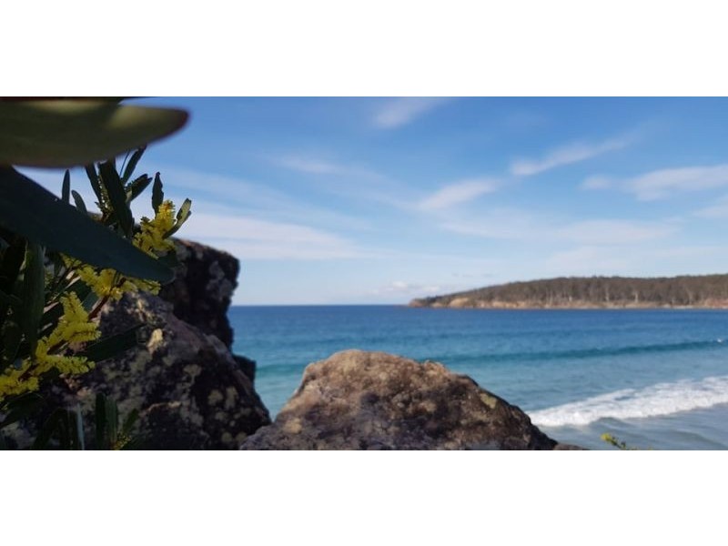 8 Little Gahan Street, Pambula NSW 2549