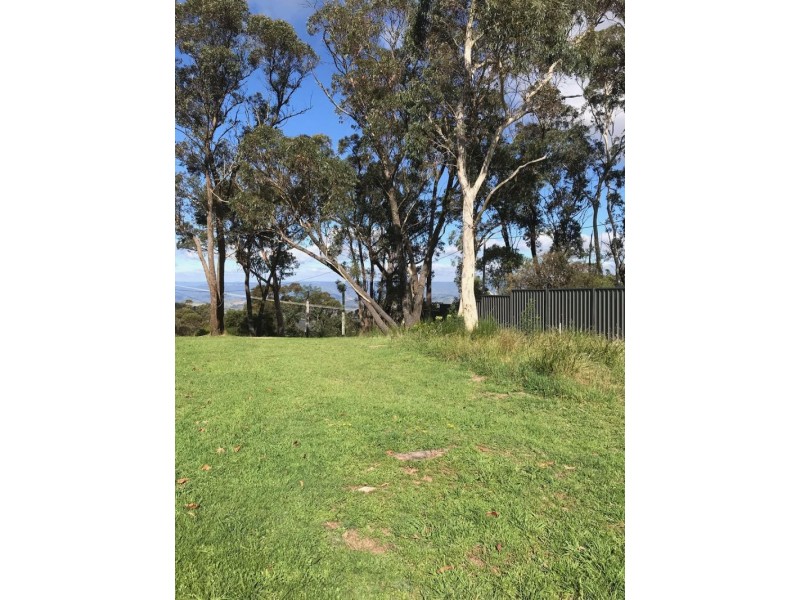 61 Victoria Street, Mount Victoria NSW 2786