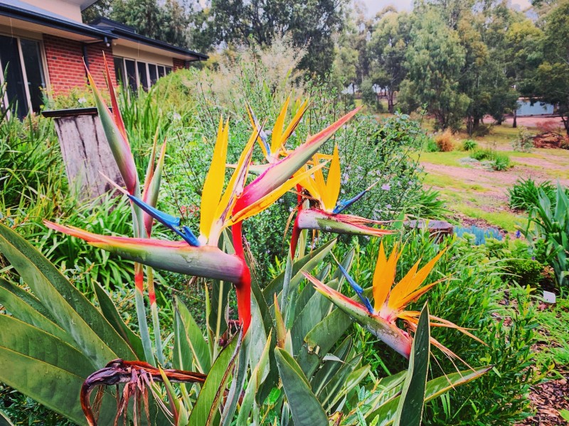 7-15 Langlands Lane, Glenmaggie VIC 3858