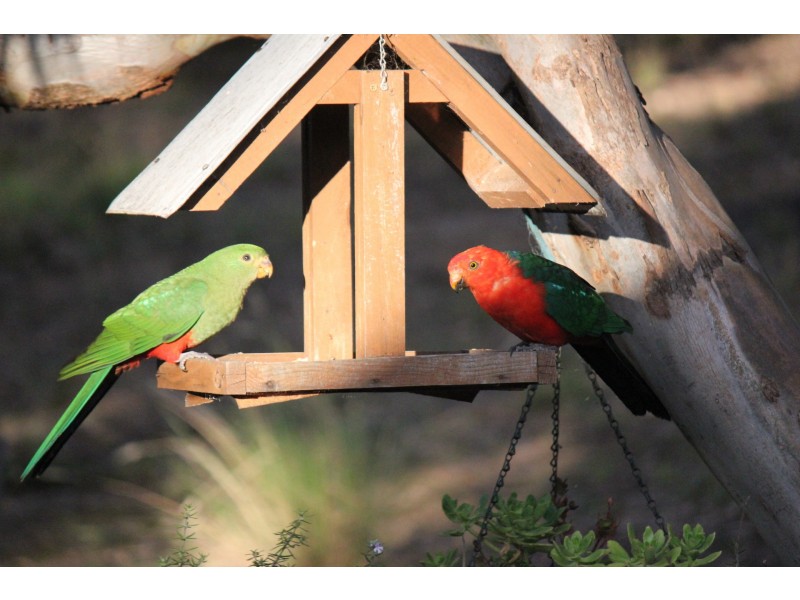 7-15 Langlands Lane, Glenmaggie VIC 3858