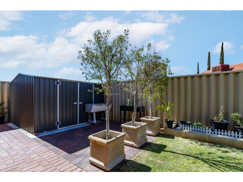 31 Heysham Bend, Butler WA 6036