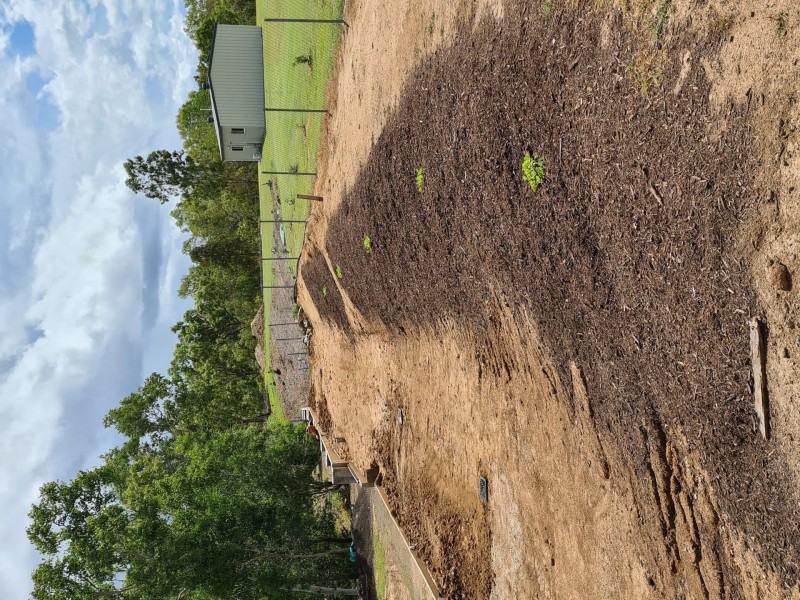 Mareeba QLD 4880