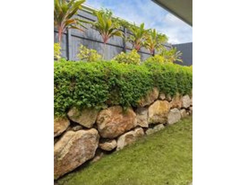 17 Rosella Way, Deebing Heights QLD 4306