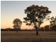 Balldale NSW 2646