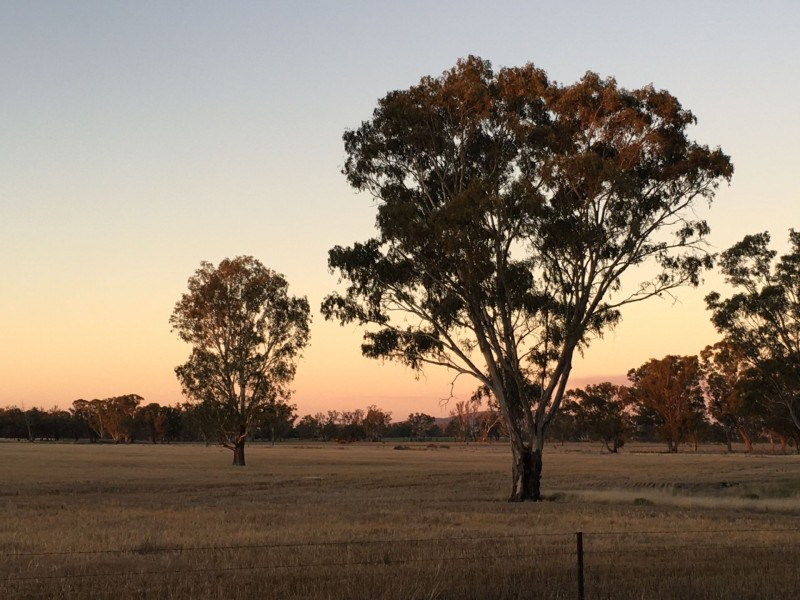 Balldale NSW 2646