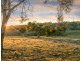 Lot 16 Gorge Creek Road, Googong NSW 2620