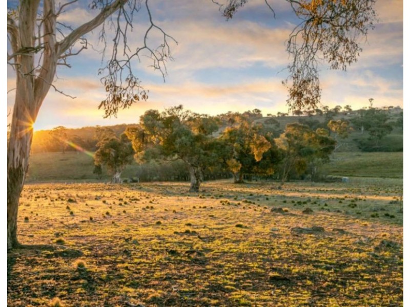 Lot 16 Gorge Creek Road, Googong NSW 2620