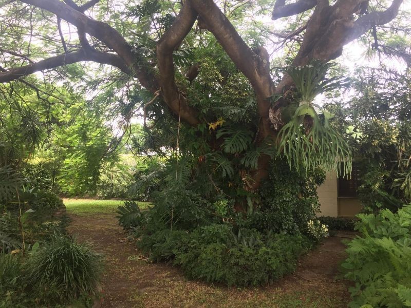 2125 & 2127 Wynnum Rd, Wynnum West QLD 4178