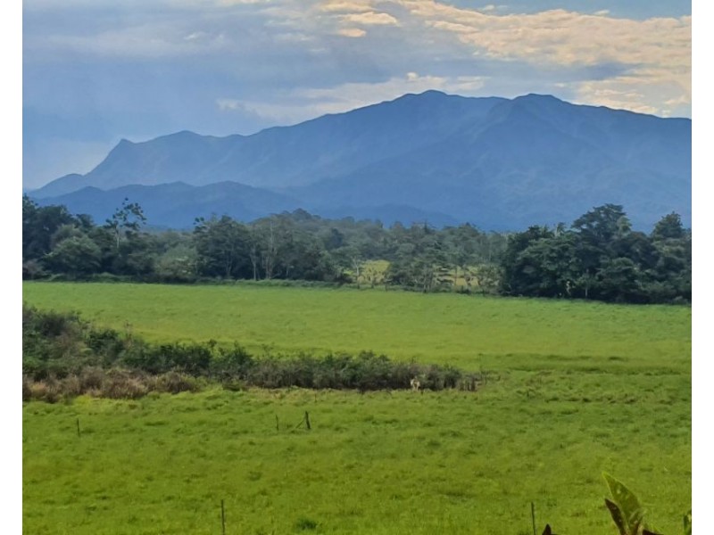 361 Dinner Creek Road, Eubenangee QLD 4860