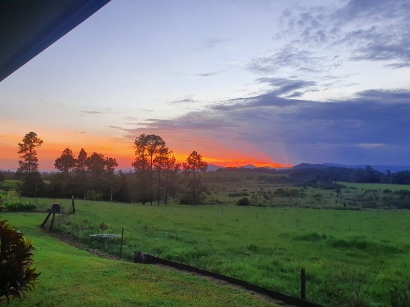 361 Dinner Creek Road, Eubenangee QLD 4860