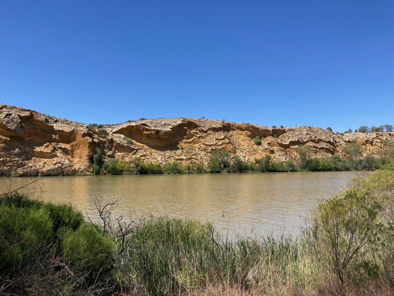 71 Mallee Road, Walker Flat SA 5238