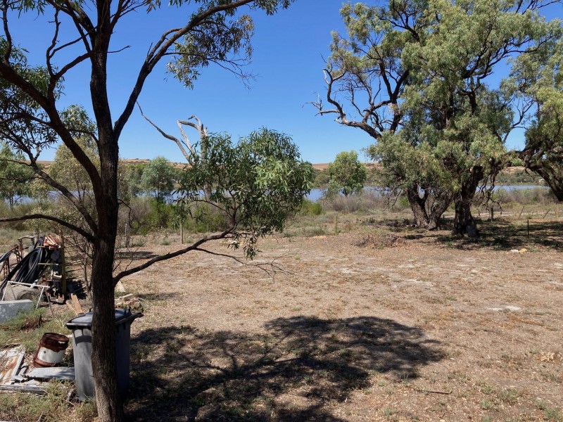 71 Mallee Road, Walker Flat SA 5238