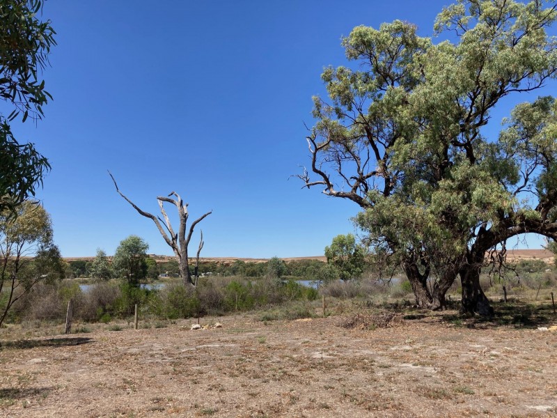 71 Mallee Road, Walker Flat SA 5238