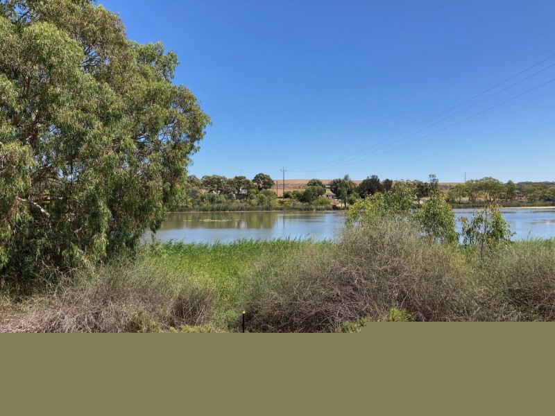 71 Mallee Road, Walker Flat SA 5238