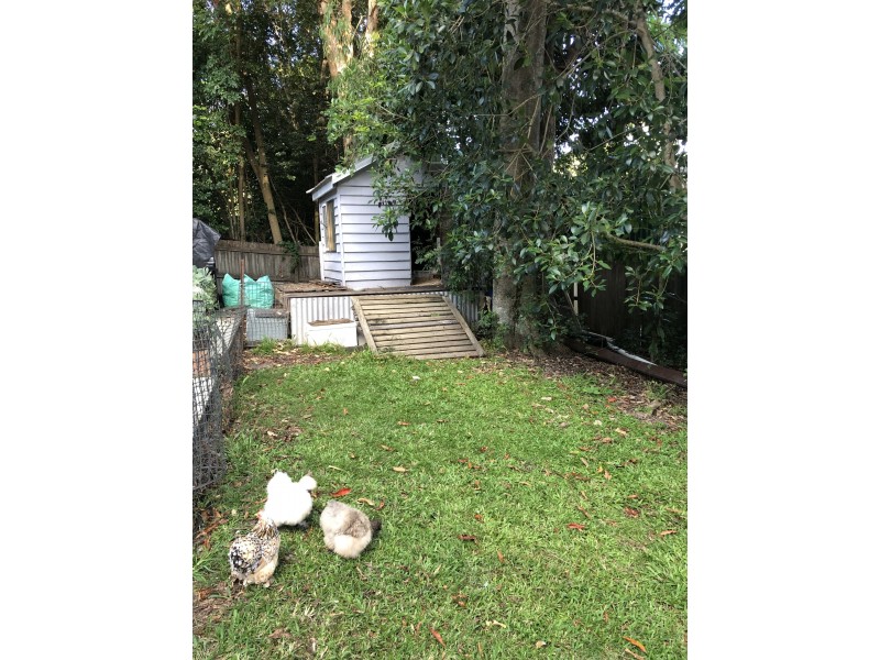 8 Low st, Eumundi QLD 4562