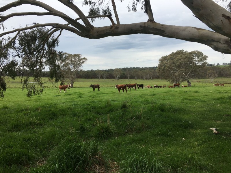 3010 Casterton-Edenhope Road, Chetwynd VIC 3312