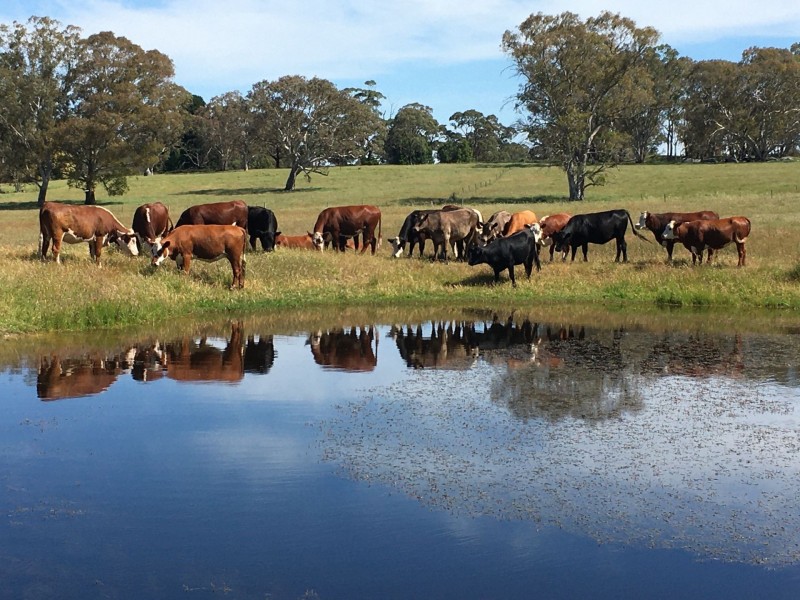 3010 Casterton-Edenhope Road, Chetwynd VIC 3312