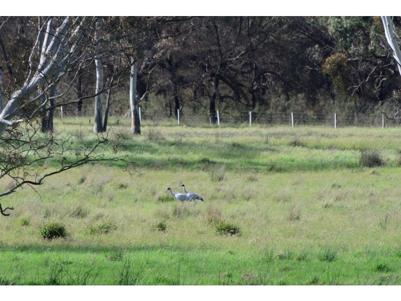 3010 Casterton-Edenhope Road, Chetwynd VIC 3312