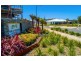 145 Macadamia Circuit, Medowie NSW 2318