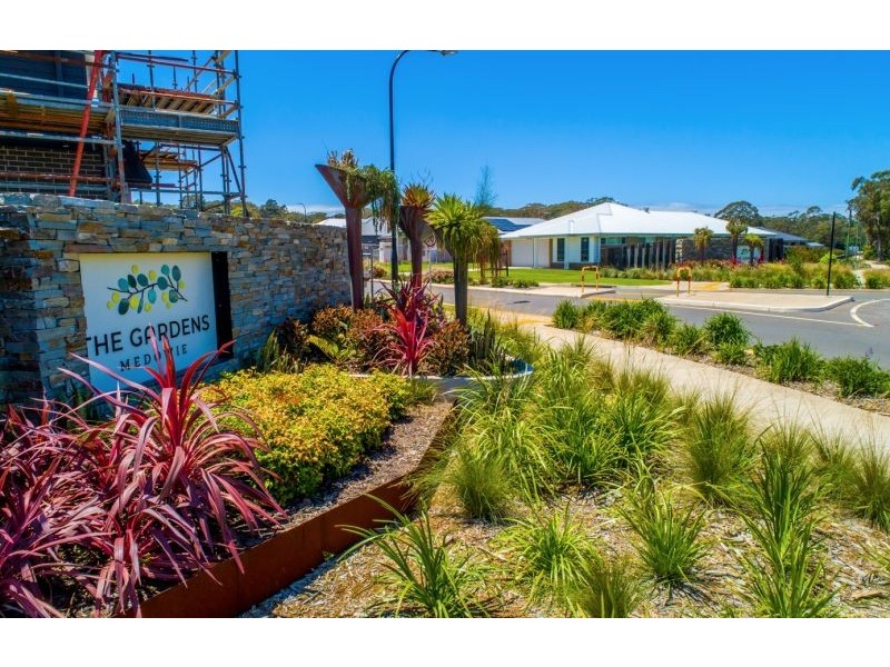 145 Macadamia Circuit, Medowie NSW 2318