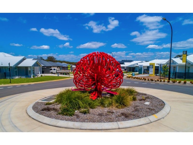 145 Macadamia Circuit, Medowie NSW 2318