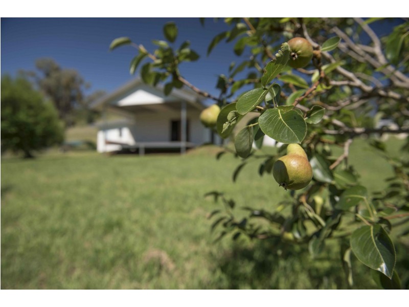 209 Martins Lane, Piallamore NSW 2340