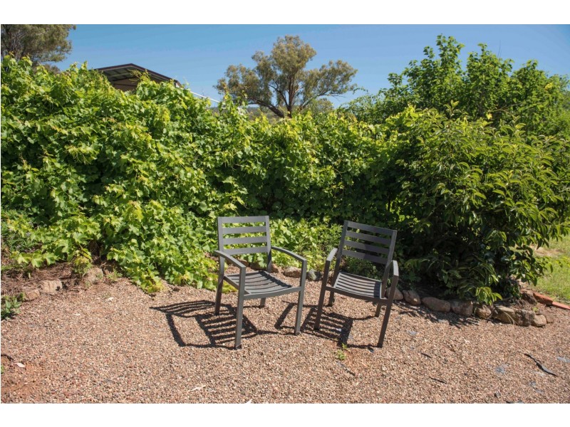 209 Martins Lane, Piallamore NSW 2340