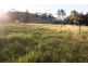 209 Martins Lane, Piallamore NSW 2340