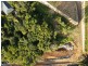 Bahrs Scrub QLD 4207