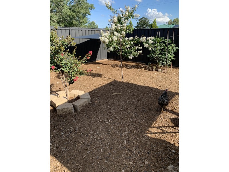 4 Chapman Street, Manilla NSW 2346