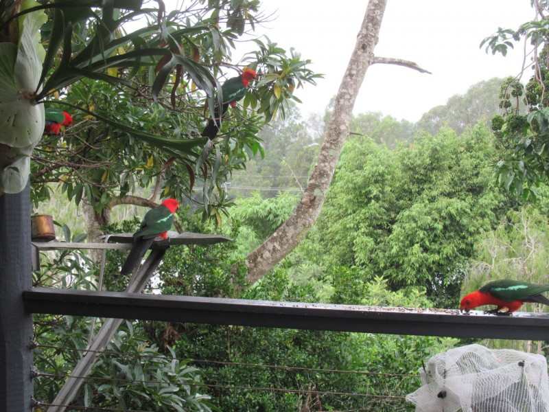 22 Fleetwood Court, Ferny Hills QLD 4055