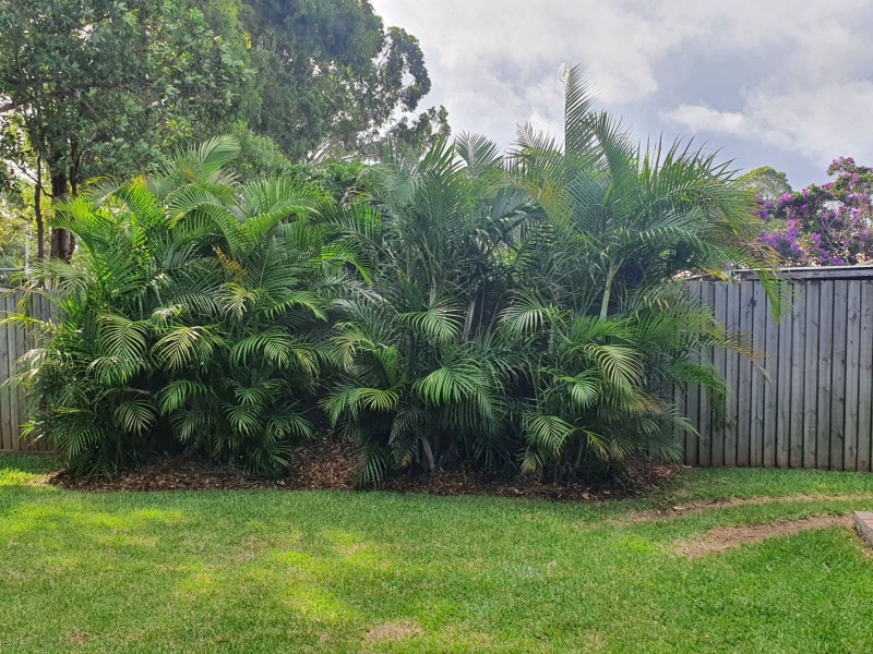 2 Egar Court, Murrumba Downs QLD 4503