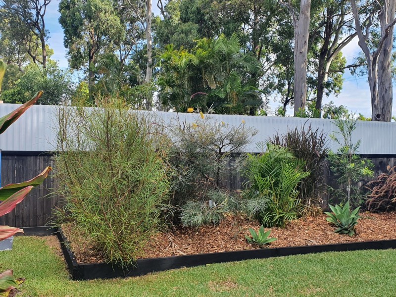 2 Egar Court, Murrumba Downs QLD 4503