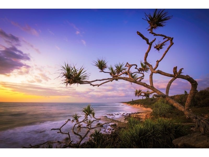 8 Morgan Close, Yaroomba QLD 4573