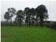 Lot 1 Grafton st, Lowanna NSW 2450
