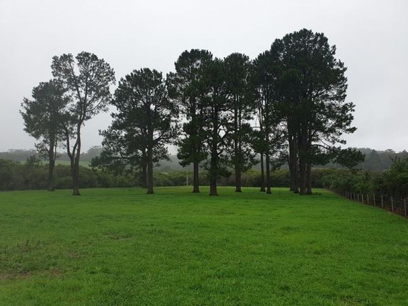 Lot 1 Grafton st, Lowanna NSW 2450