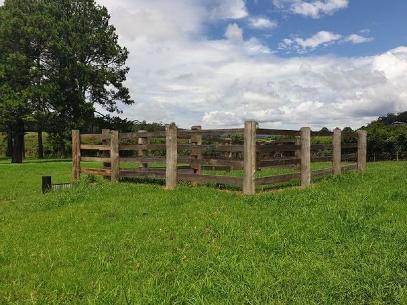Lot 1 Grafton st, Lowanna NSW 2450
